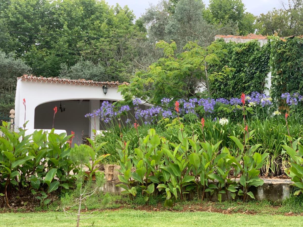 Ferreira do ZêzereQuinta Dos Girassois Fzアパートメント エクステリア 写真
