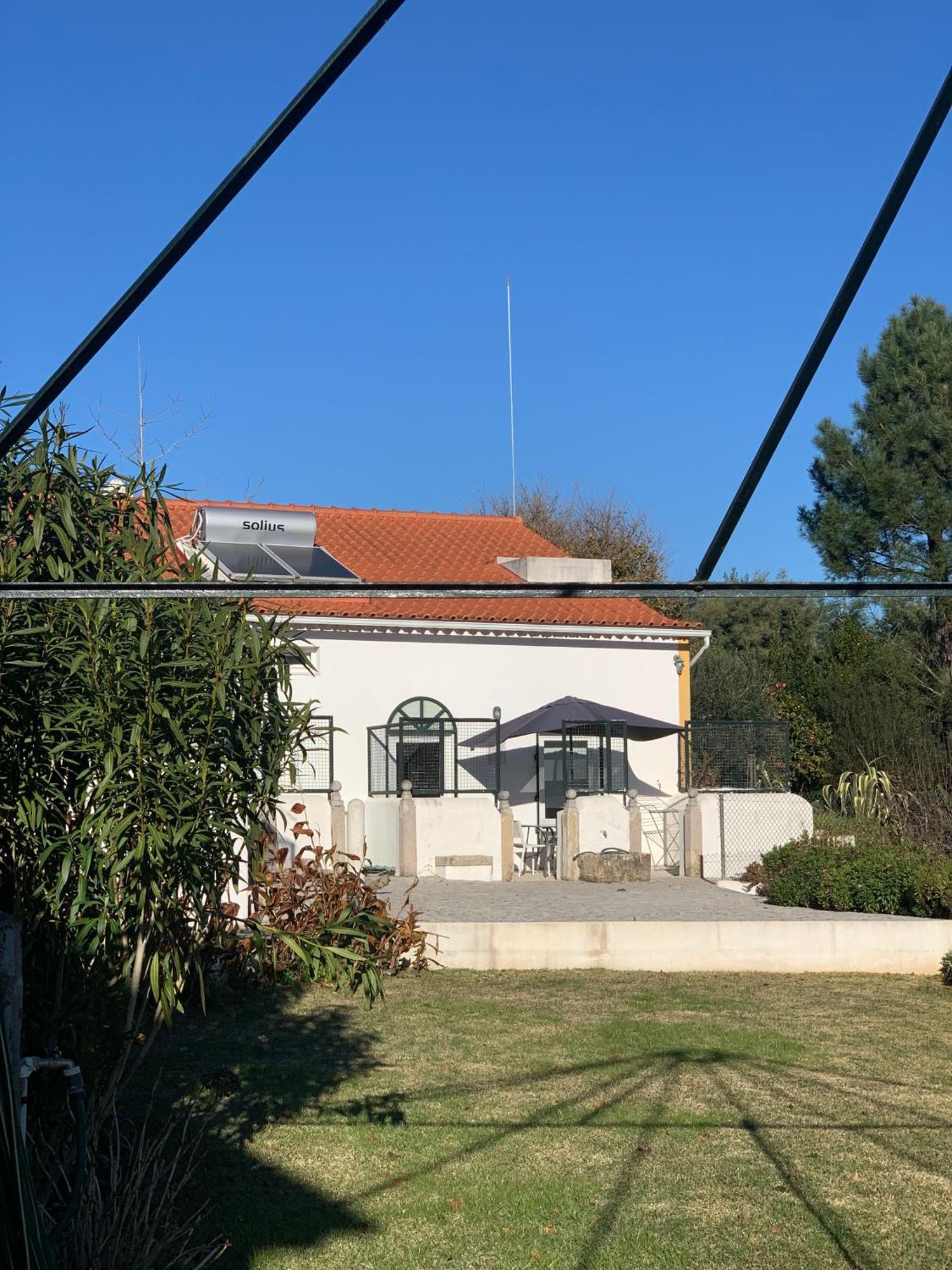 Ferreira do ZêzereQuinta Dos Girassois Fzアパートメント エクステリア 写真